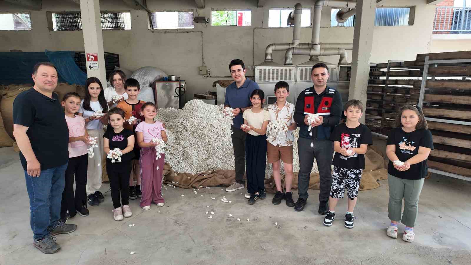 ipekbocegi-irklari-uzerinde-islah-calismalari