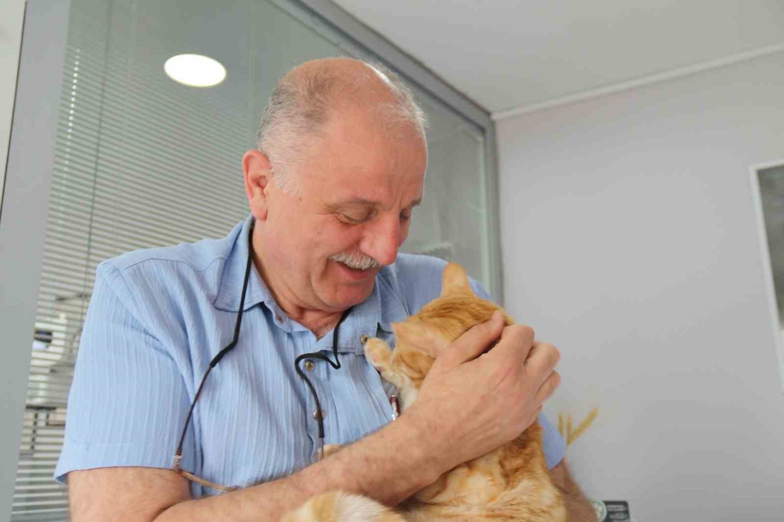 kedisini-veterinere-yetistirmeye-calisirken-trafik-cezasi-yedi-itiraz-etti
