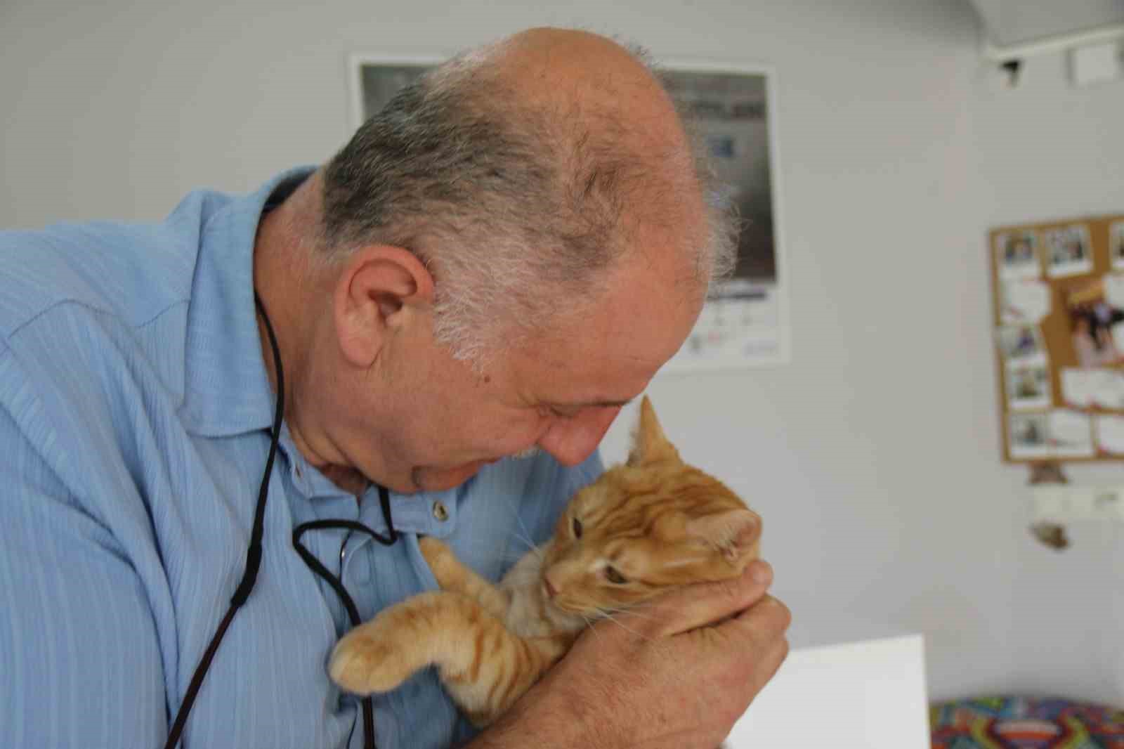 kedisini-veterinere-yetistirmeye-calisirken-trafik-cezasi-yedi-itiraz-etti