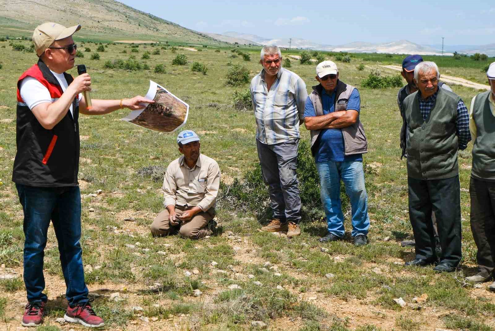 tarimsal-uretim-icin-gubreleme-yapilan-mera-arazisi-3-milyon-metrekareye-ulasti