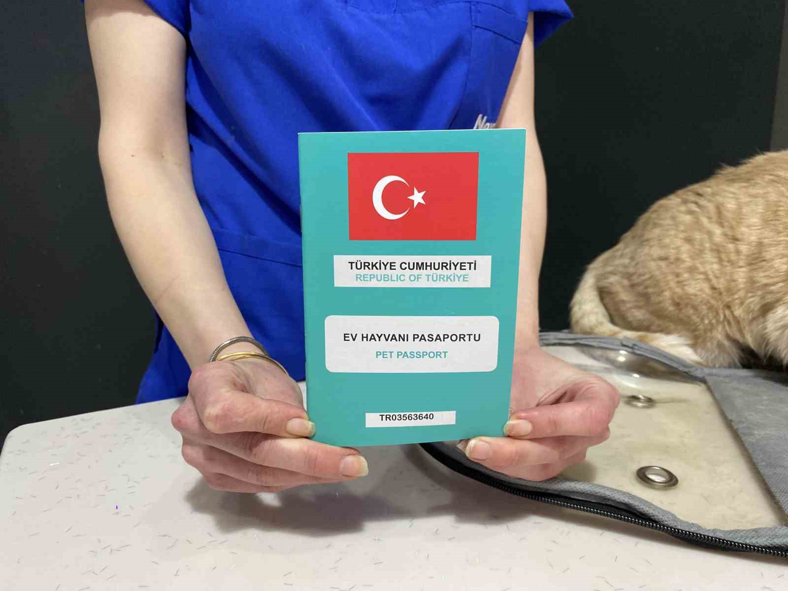 bayramda-evcil-hayvan-ile-seyahat-edecek-yolcularin-dikkat-etmesi-gerekenler