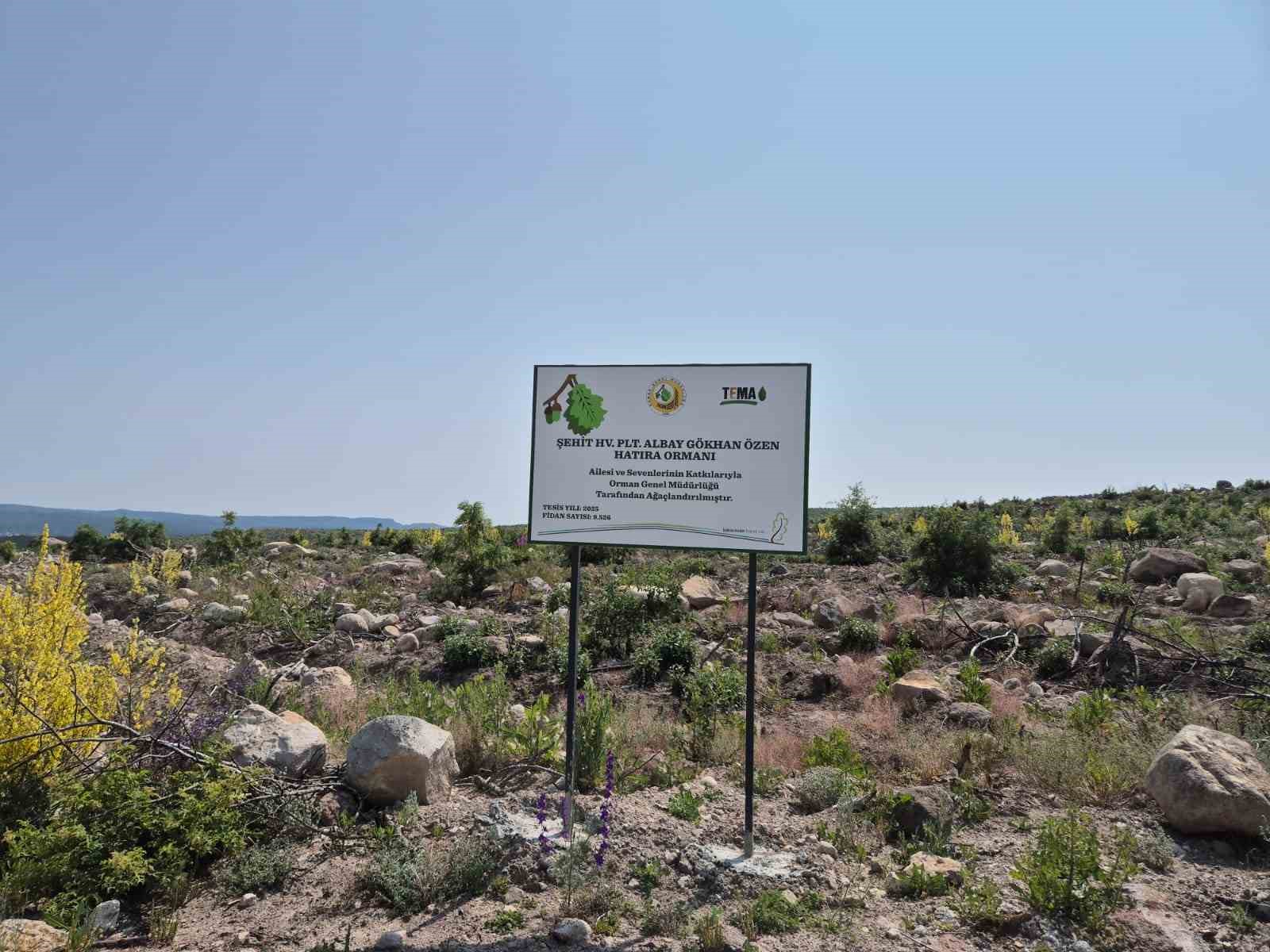 eskisehirli-sehidin-hatirasi-kumbetteki-ormanda-yasayacak