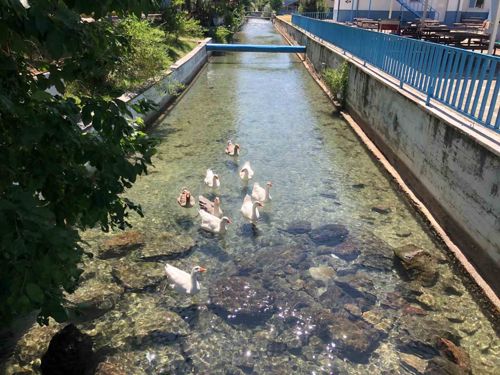 inonu-havacilik-egitim-merkezindeki-dogal-guzellik