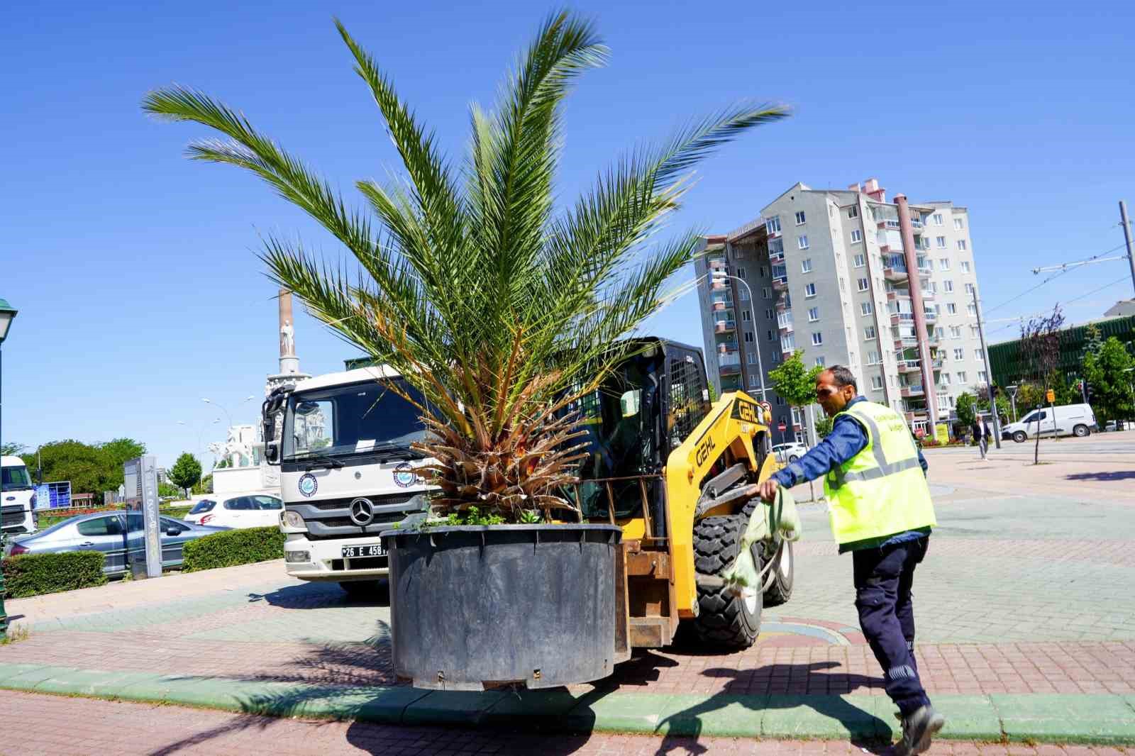 koprubasi-palmiyeler-ve-zakkumlarla-suslendi