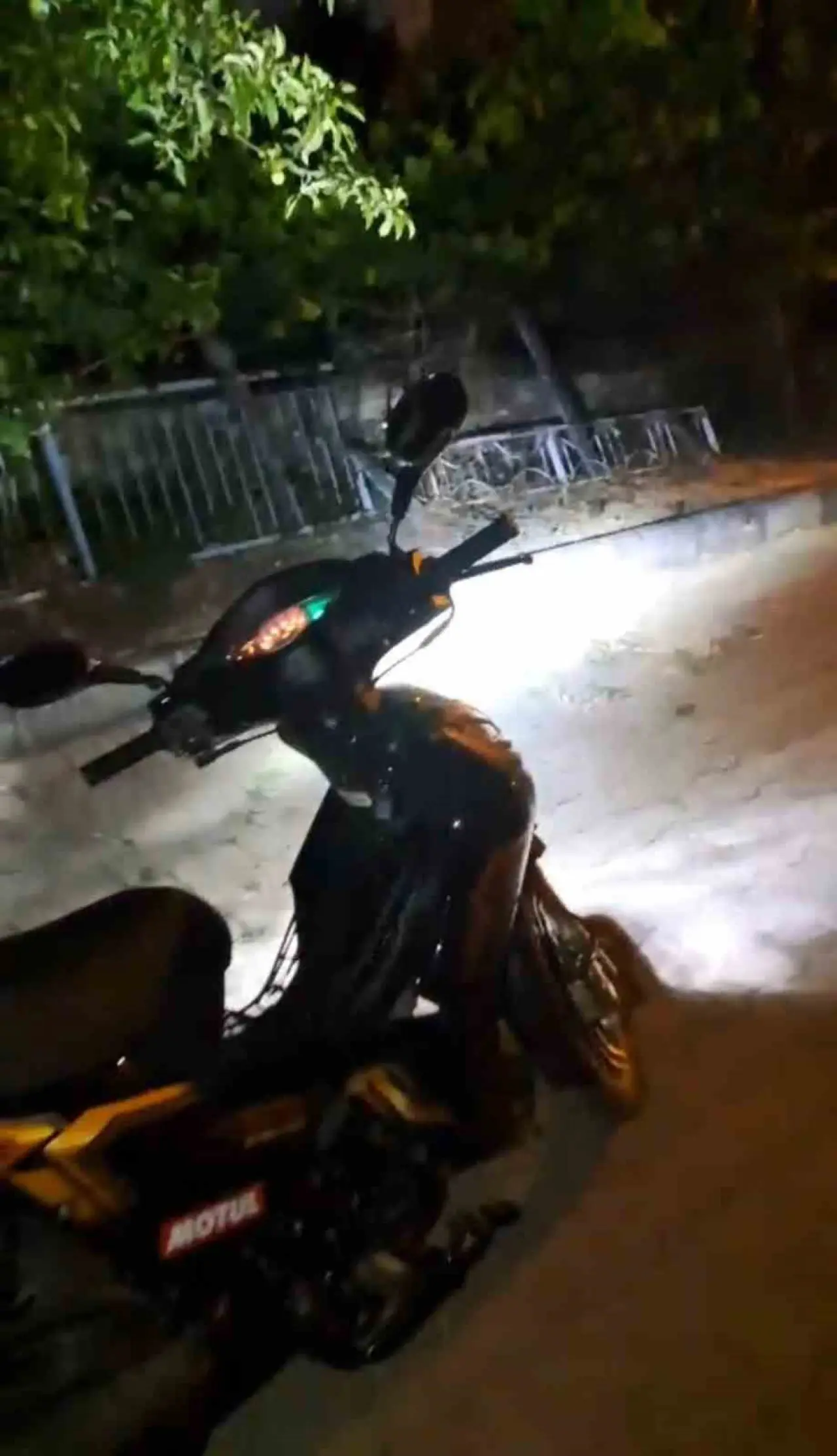 kutahyada-park-halindeki-motosiklette-yilan-panigi