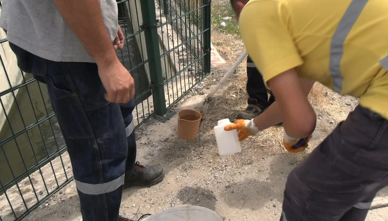 tavsanlida-balik-olumleri