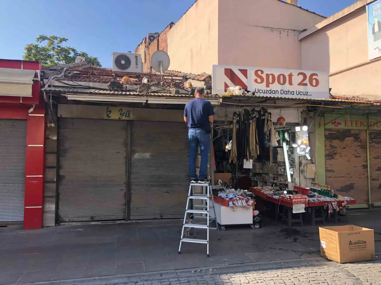 eskisehirde-esnaf-hergun-catiya-tirmanip-kedileri-besliyor