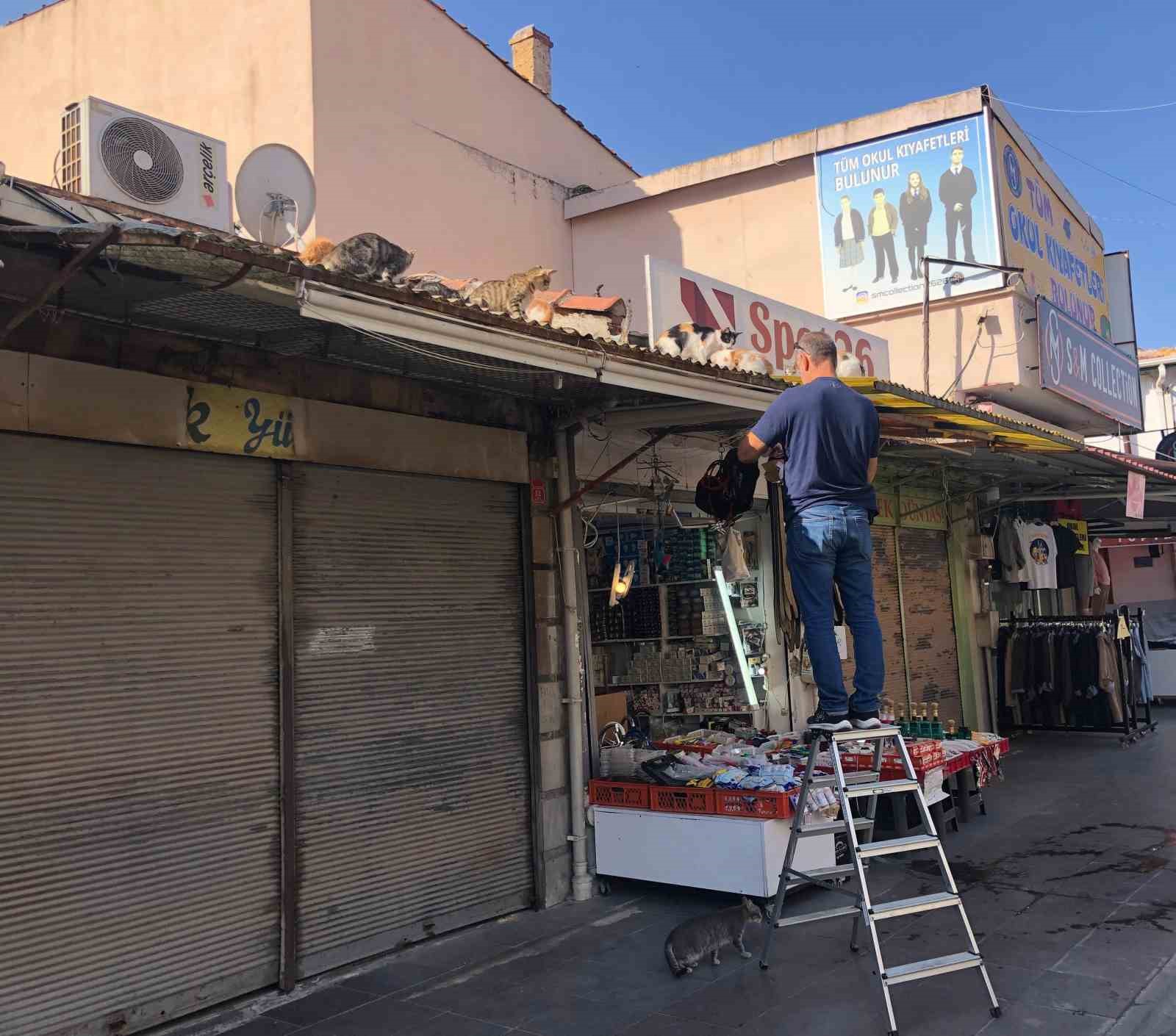 eskisehirde-esnaf-hergun-catiya-tirmanip-kedileri-besliyor