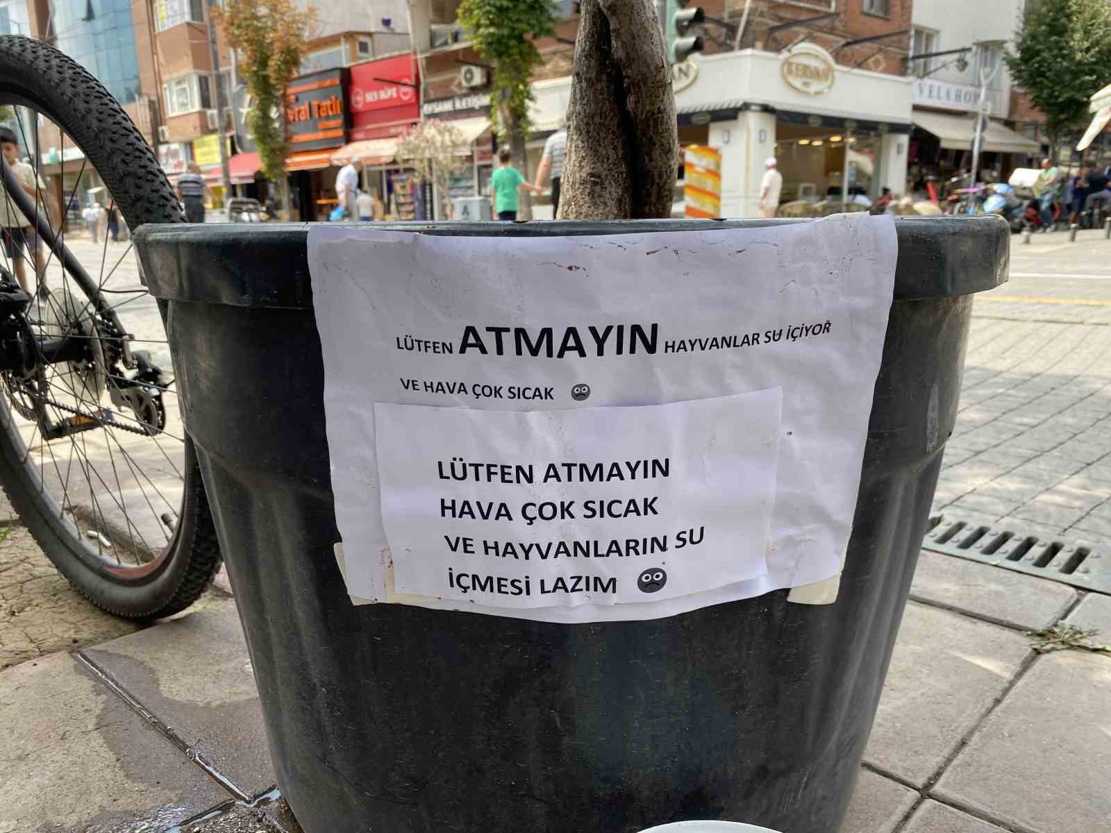 hayvansever-vatandasin-kibar-uyari-yazisi-gorenleri-gulumsetti