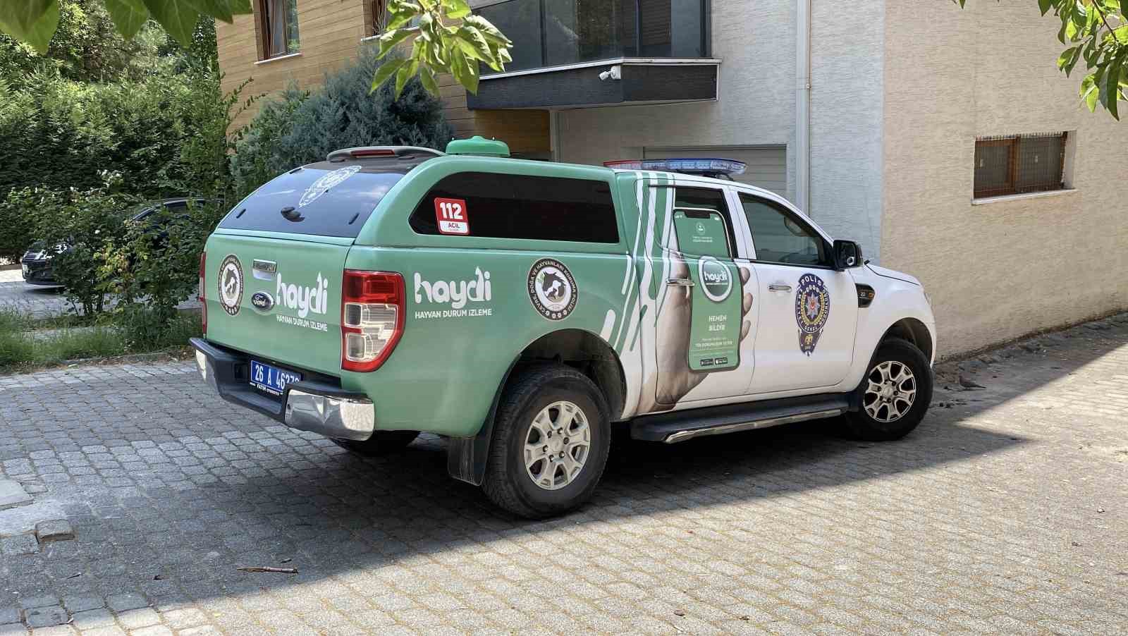 kedinin-balkona-mahkum-edildigi-iddiasi-polisi-harekete-gecirdi