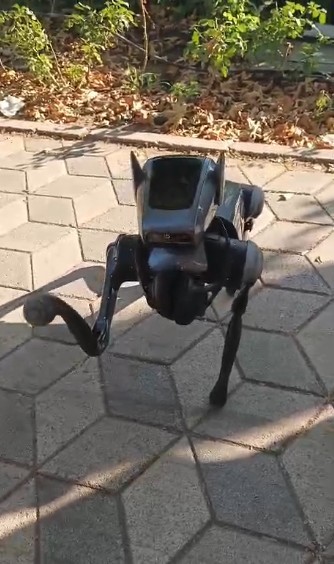 kent-merkezindeki-robot-kopek-gorenleri-hayrete-dusurdu