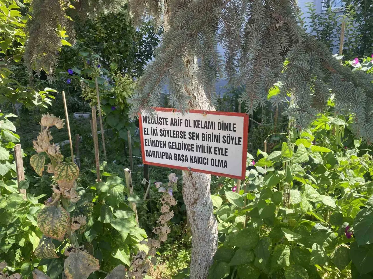 bayram-amcanin-bahceye-yerlestirdigi-ozlu-sozler-dikkat-cekiyor
