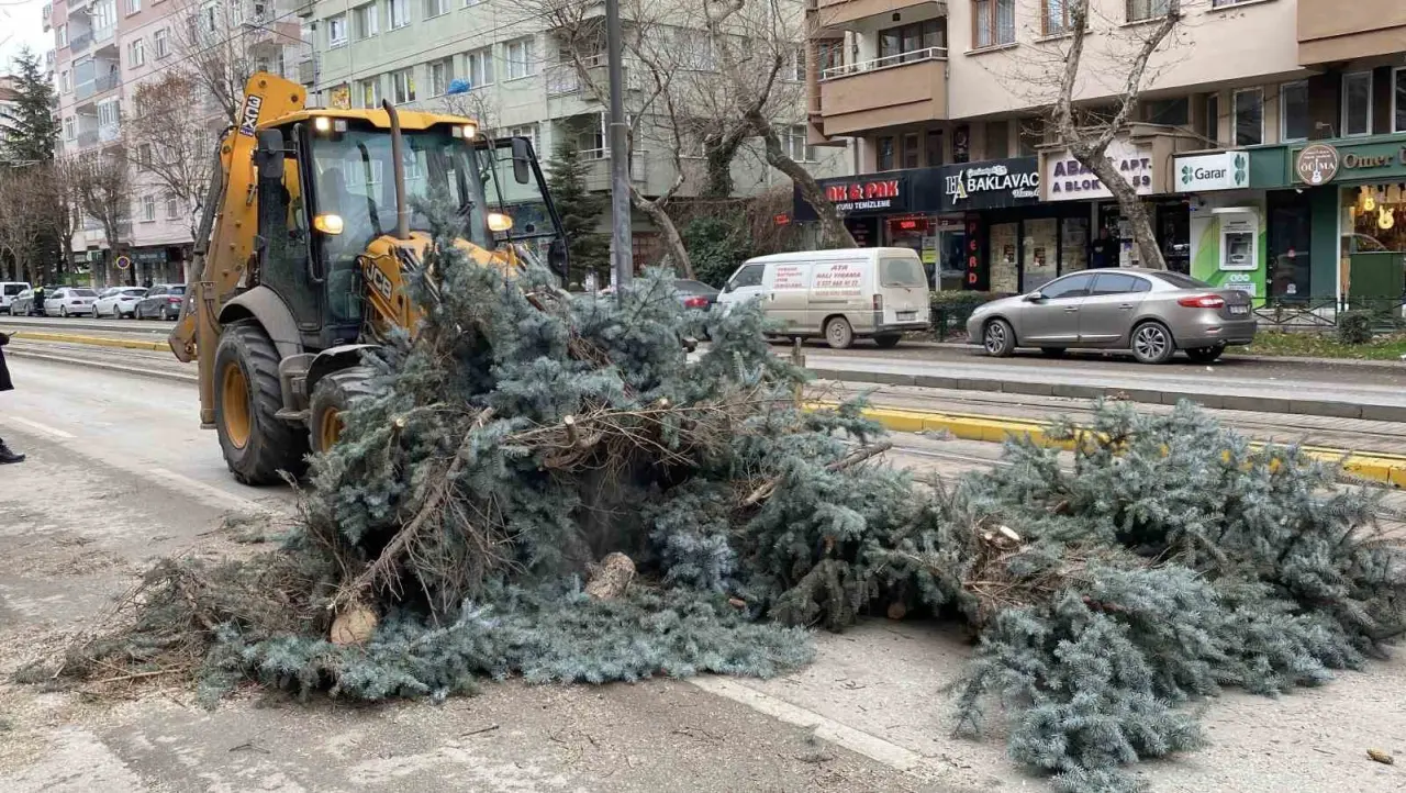 eskisehirde-firtina-sebebiyle-agaclar-devrildi