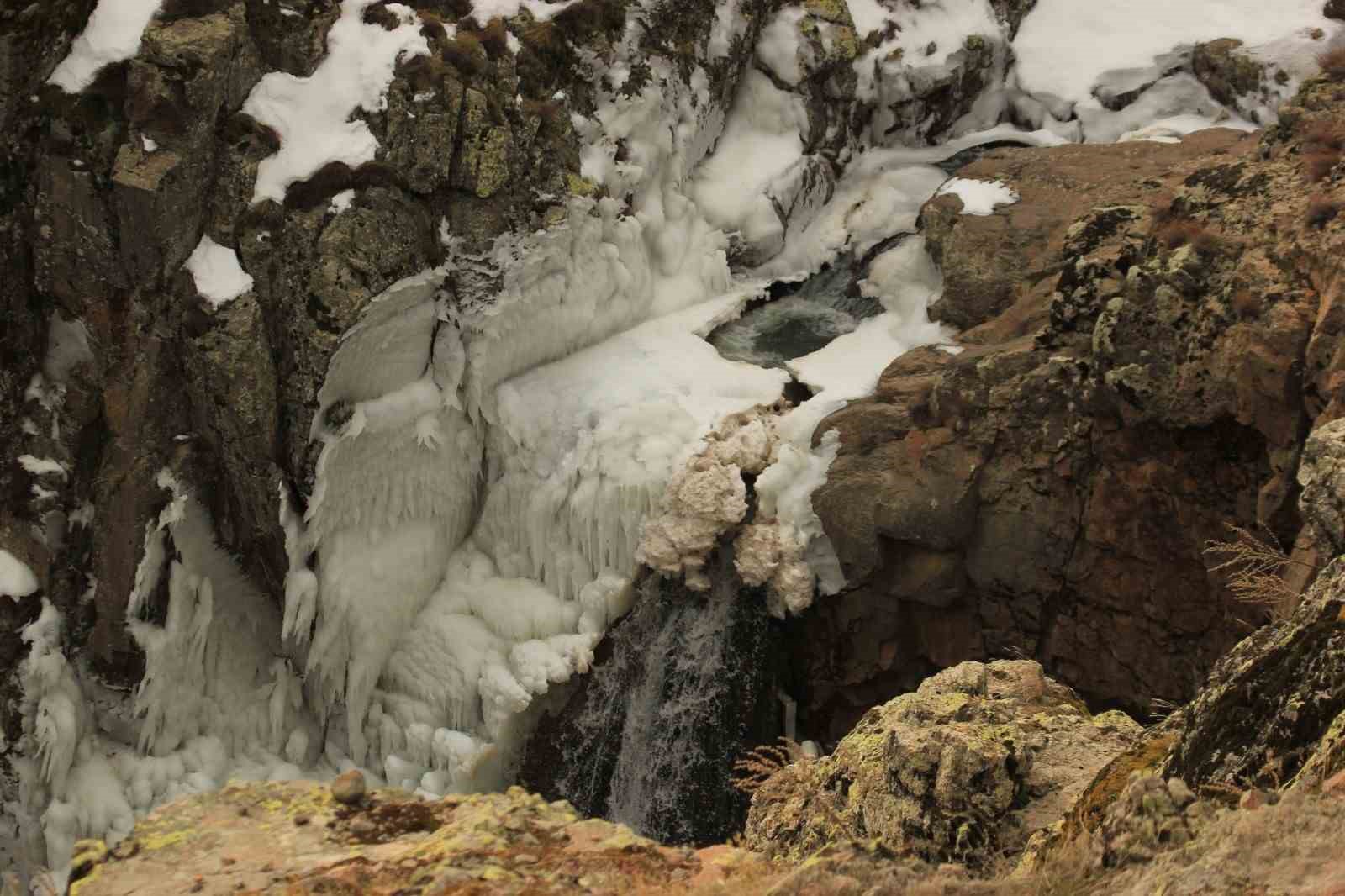 donan-selalenin-hayranlik-uyandiran-goruntusu