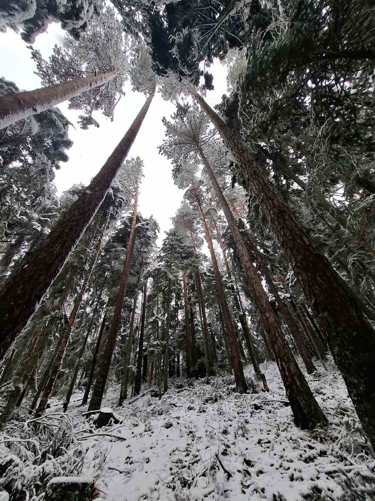 esdag-uyeleri-30-kilometrelik-zorlu-orman-parkurunu-geride-birakti