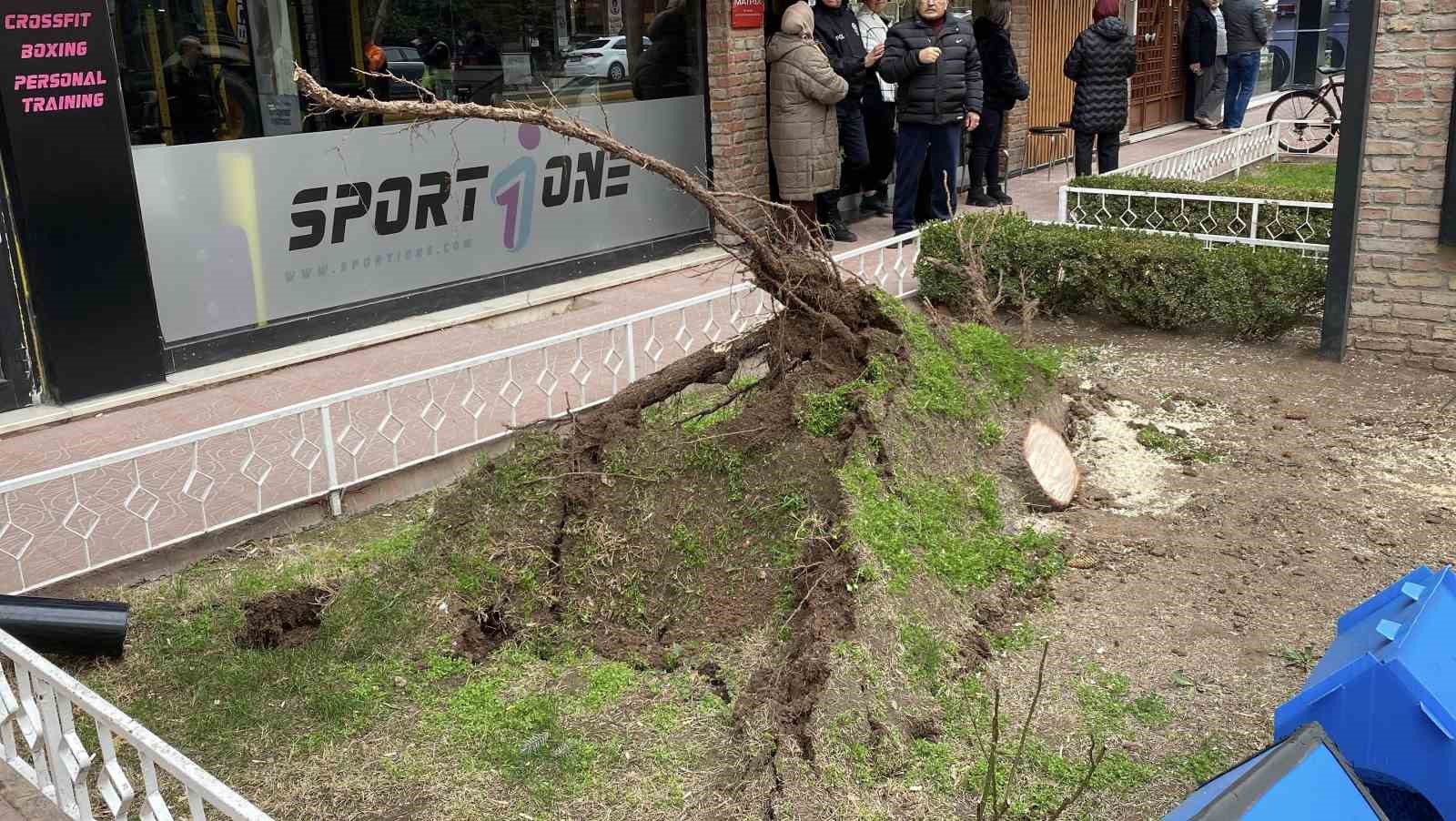 eskisehirde-firtina-sebebiyle-agaclar-devrildi