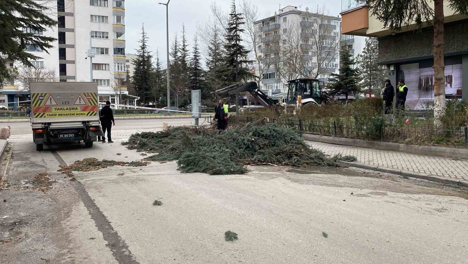 eskisehirde-firtina-sebebiyle-agaclar-devrildi