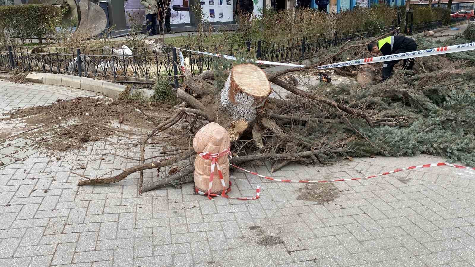 eskisehirde-firtina-sebebiyle-agaclar-devrildi