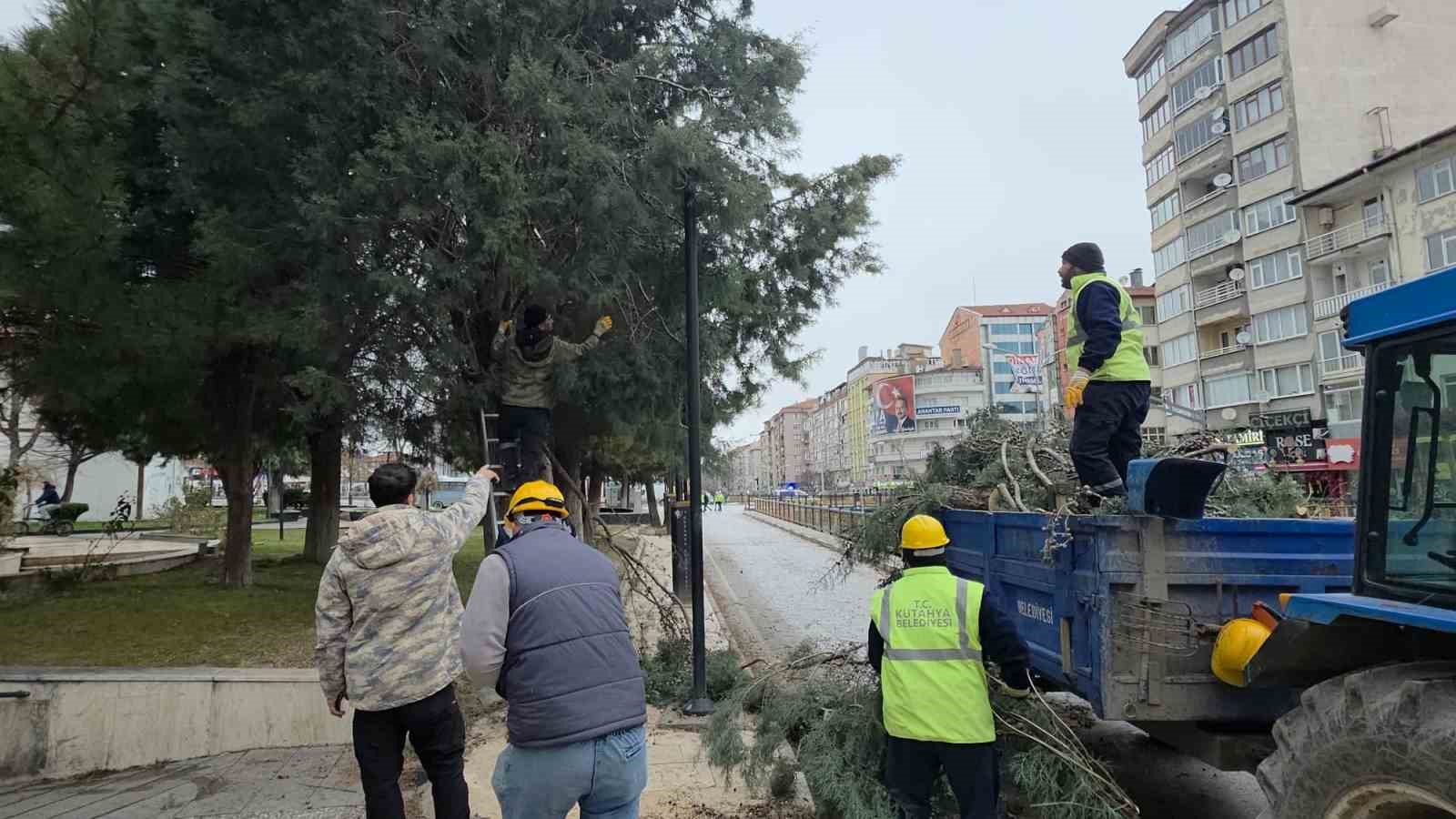 kutahyada-firtina-ve-asiri-ruzgar-agaclari-devirdi