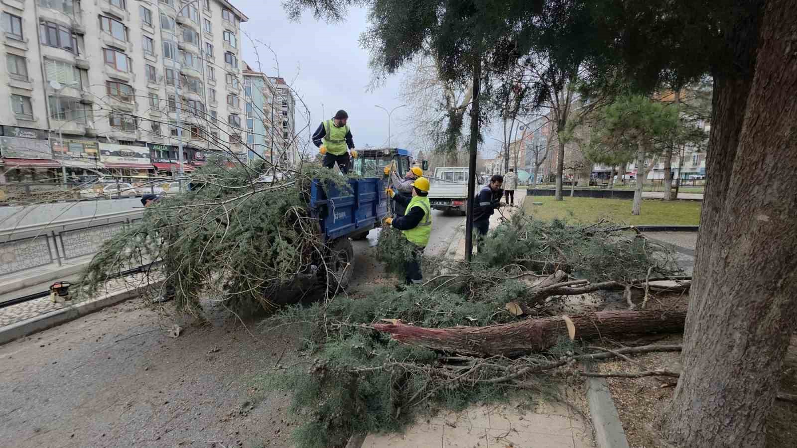 kutahyada-firtina-ve-asiri-ruzgar-agaclari-devirdi