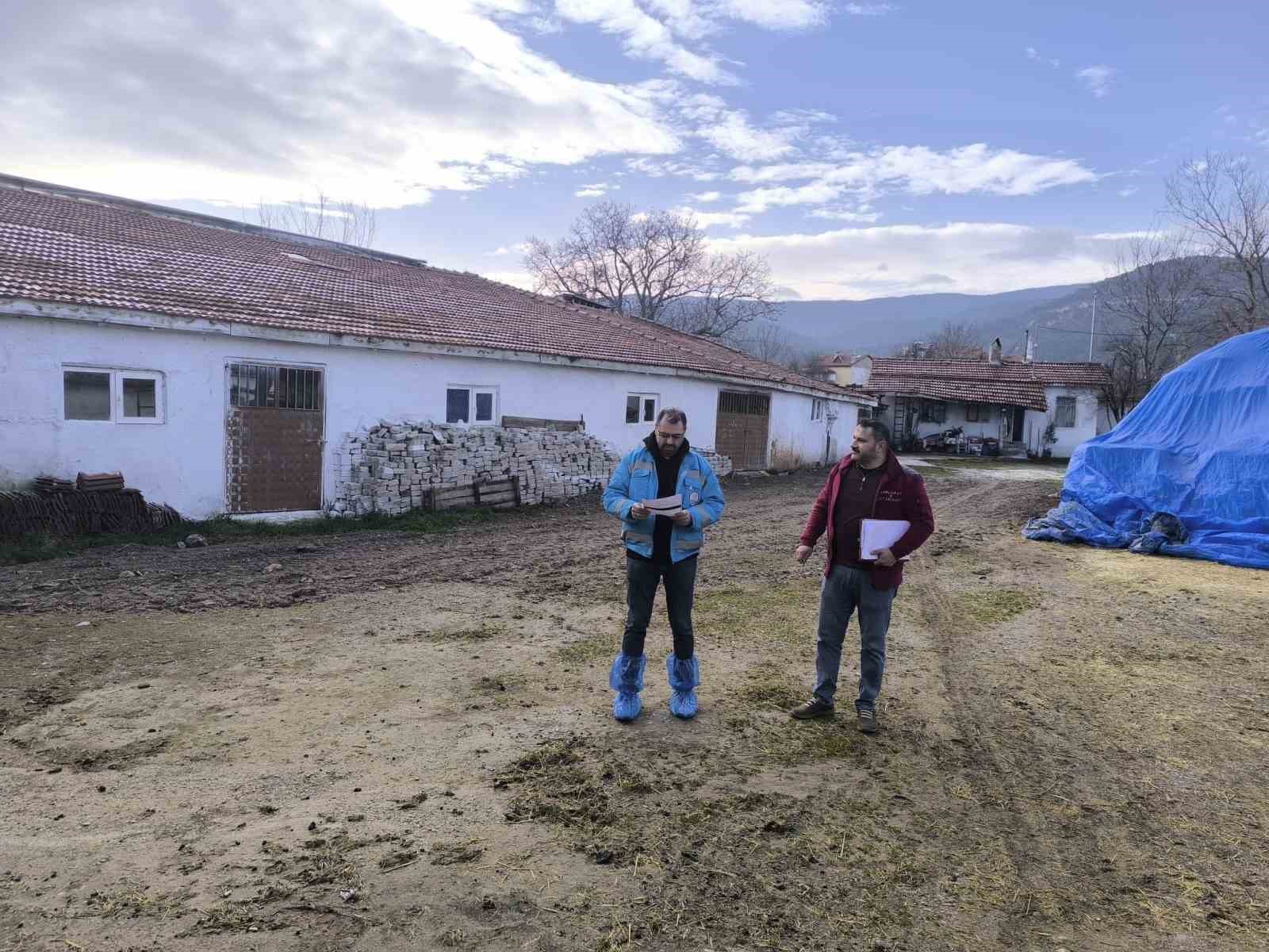 kutahyada-hayvancilik-isletmelerine-yonelik-kapasite-tespiti-suruyor