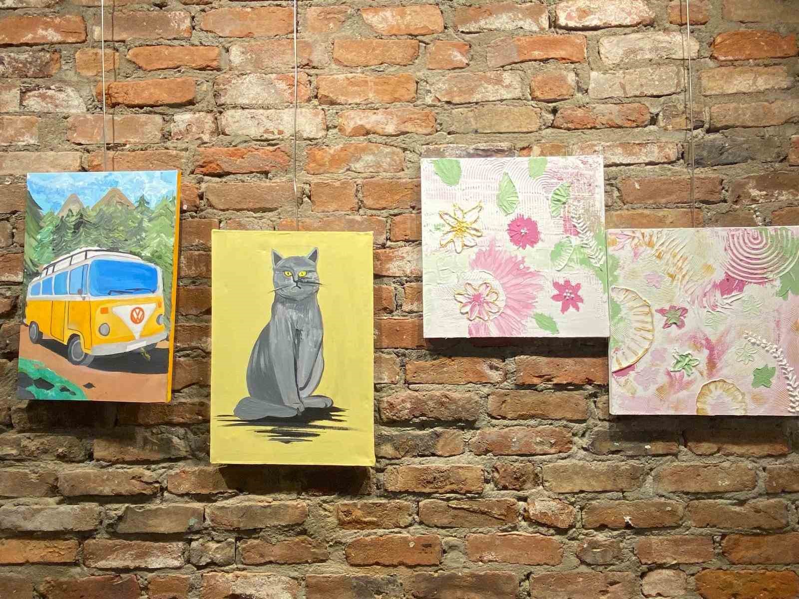 otizmli-ressam-alp-eren-candanin-resim-sergisi