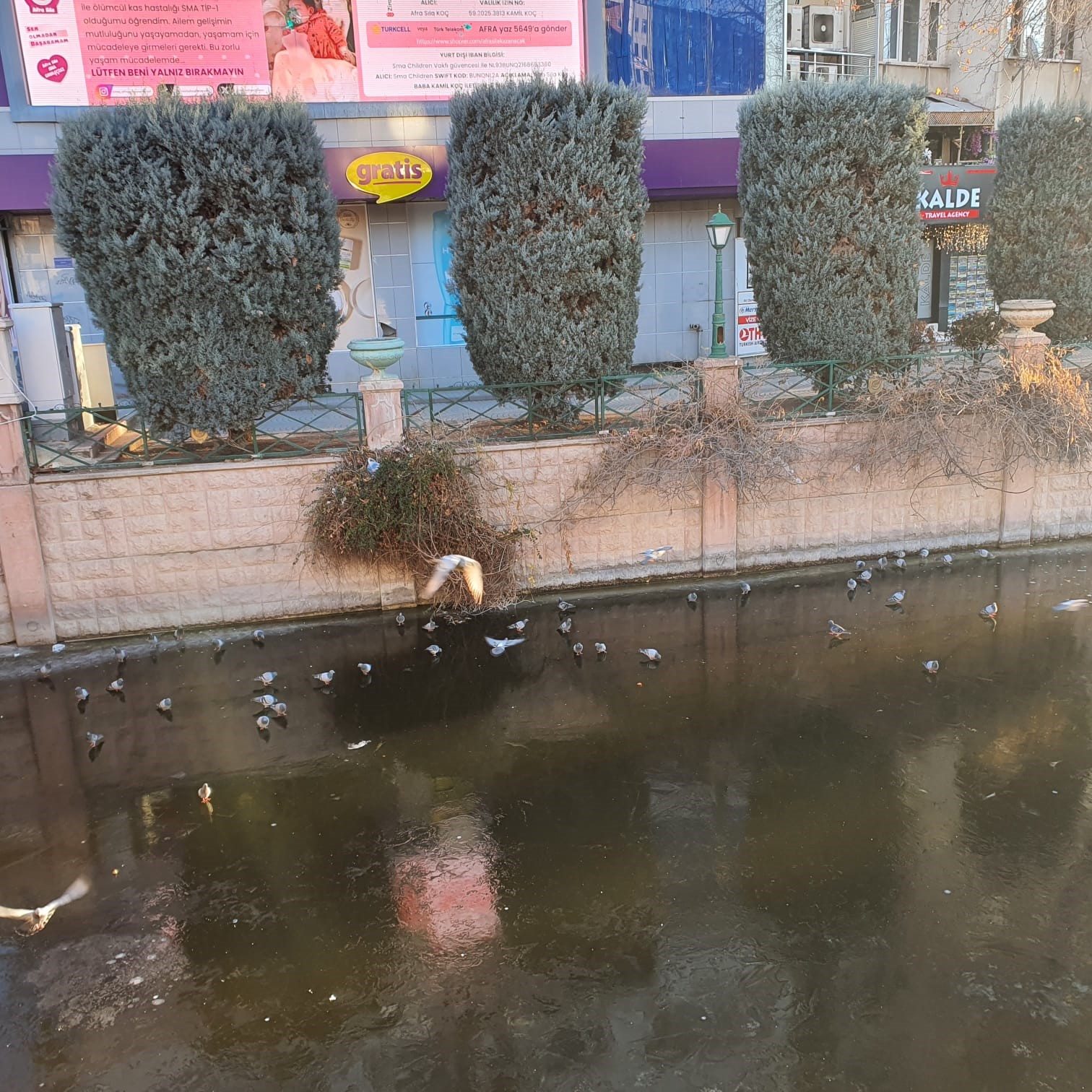 porsukun-dondugunun-resmidir