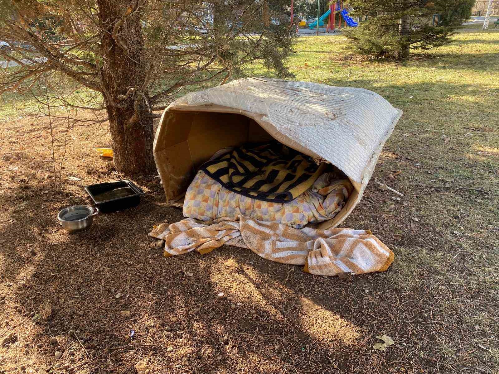 soguk-kis-sartlarinda-hayvanlar-icin-korunakli-kulubeler-yaptilar