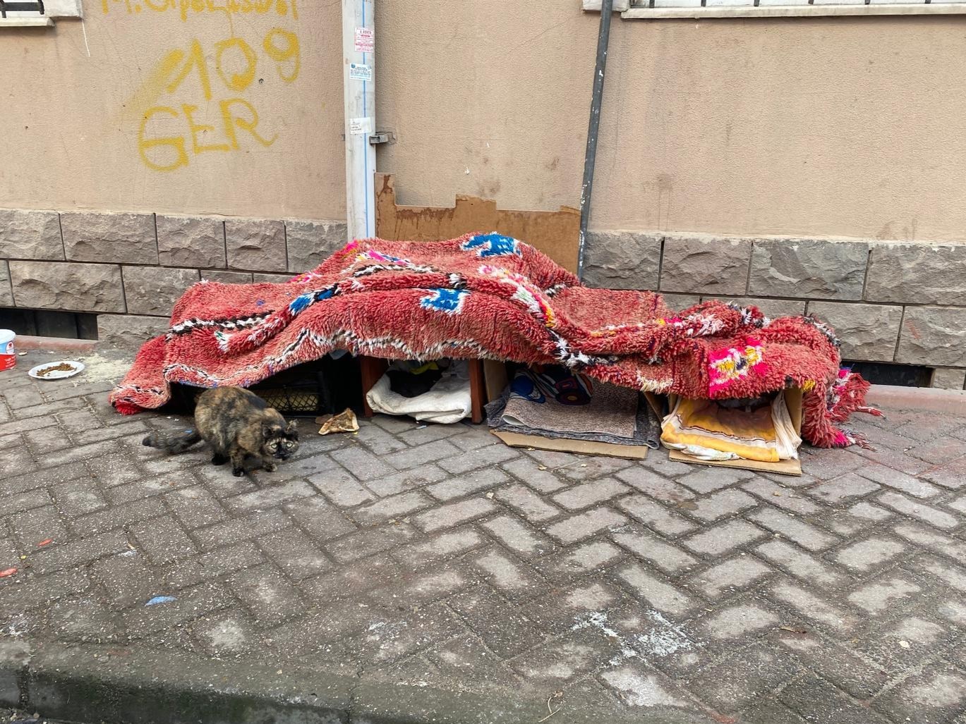 soguk-kis-sartlarinda-hayvanlar-icin-korunakli-kulubeler-yaptilar