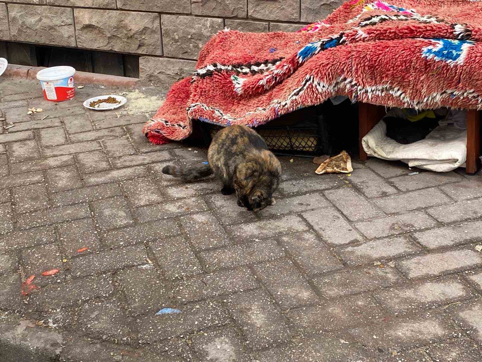 soguk-kis-sartlarinda-hayvanlar-icin-korunakli-kulubeler-yaptilar