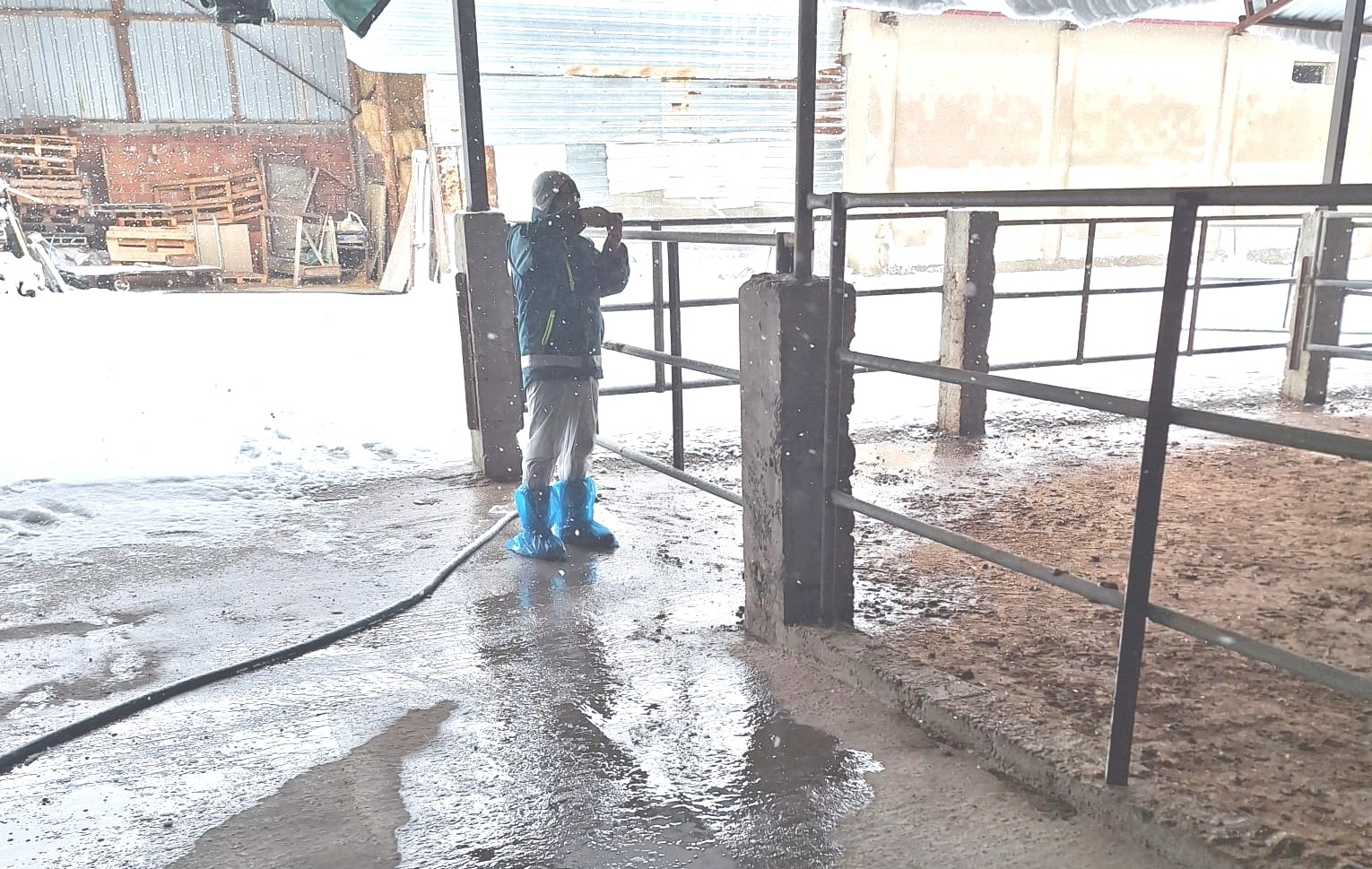 tavsanlida-hayvancilik-isletmelerine-yonelik-besilik-hayvan-kapasite-tespit-calismasi