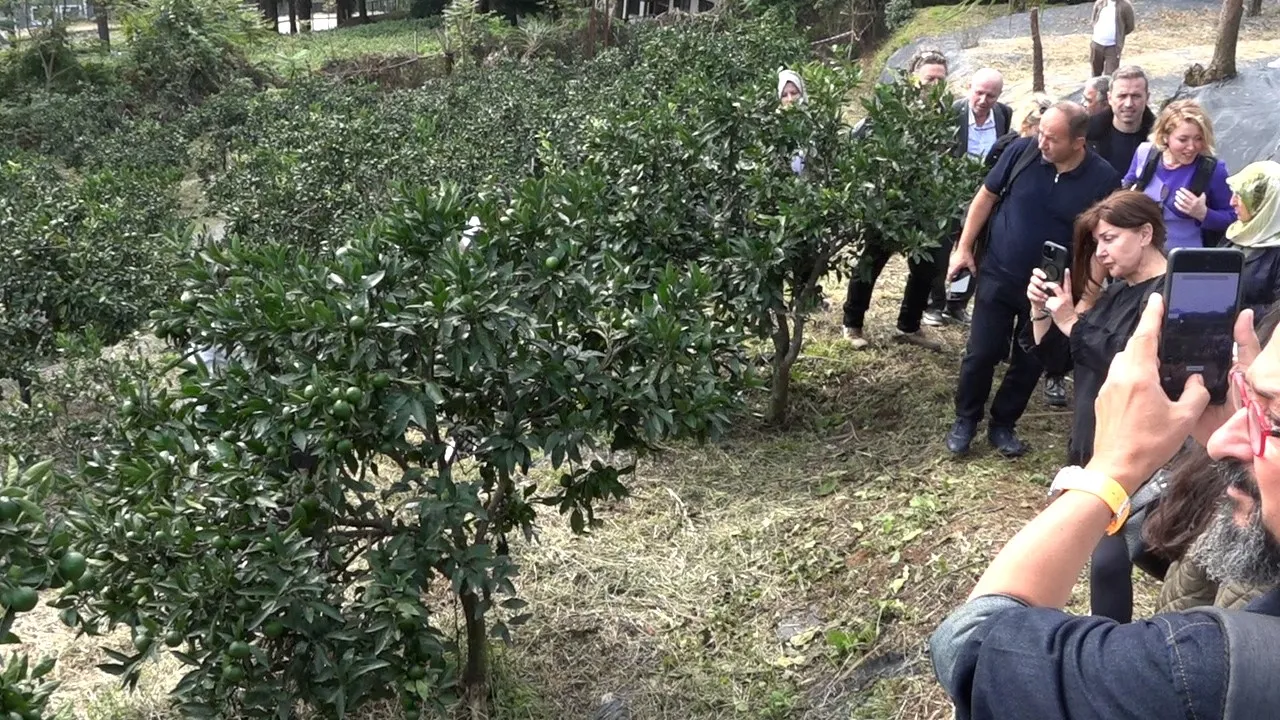 Rize Gastronomisi Tarladan Sofraya Uzanan Döngüsel Bir Ekonomi Modeline Dönüşüyor