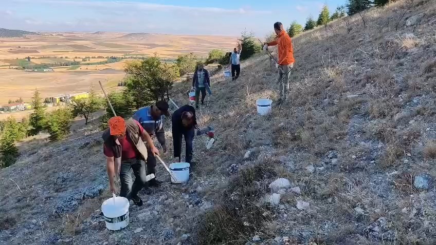 seyitgazi-avdar-bayirindaki-dev-ay-yildiz-icin-bakim-ve-boyama-calismasi