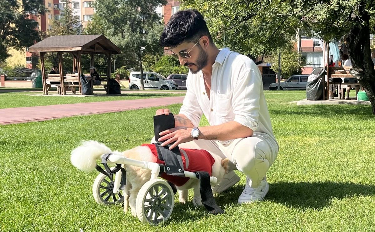 Köpeği felç kaldıktan sonra Müslüman oldu