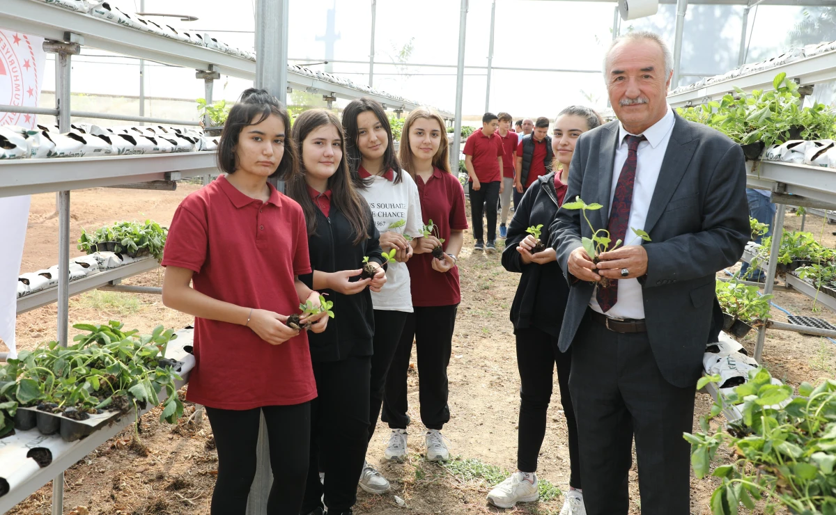 Sarıcakaya'da çilekler, topraksız tarım ve su kültürü tekniği ile yetişecek