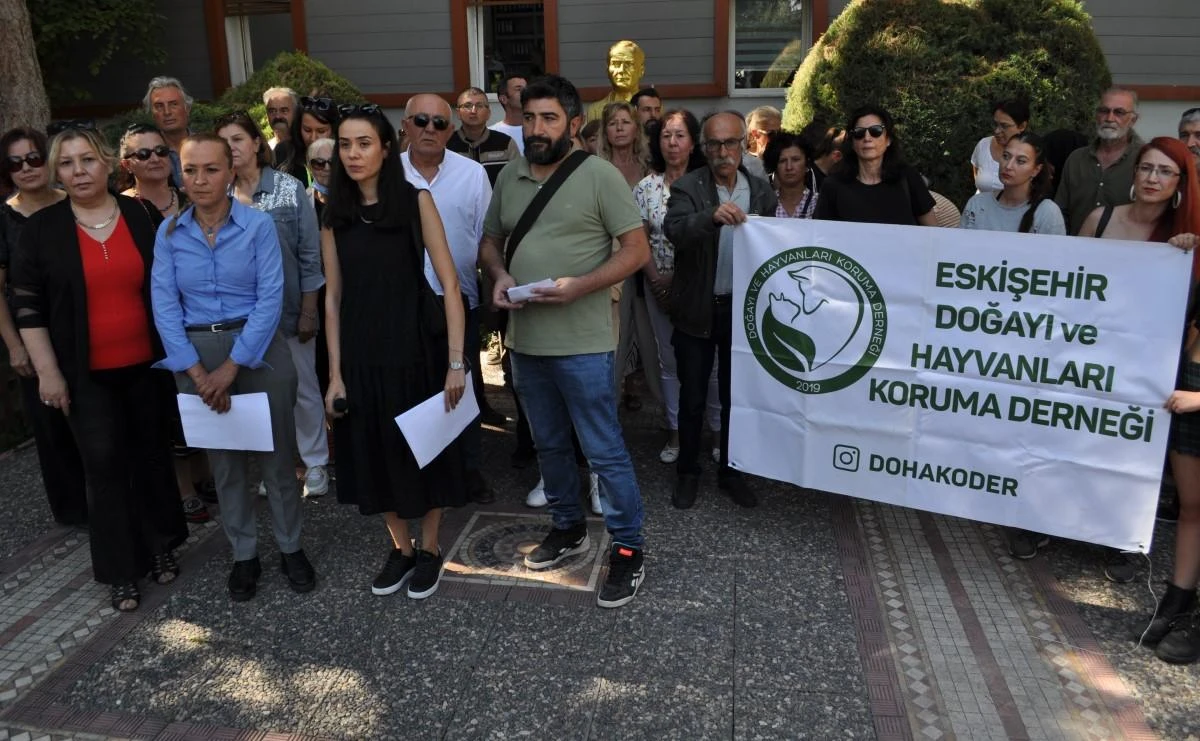 Hayvanseverler Büyükşehir’i suçladı 