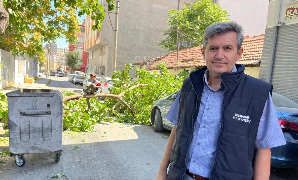 Yola devrilen ağaç korkuttu