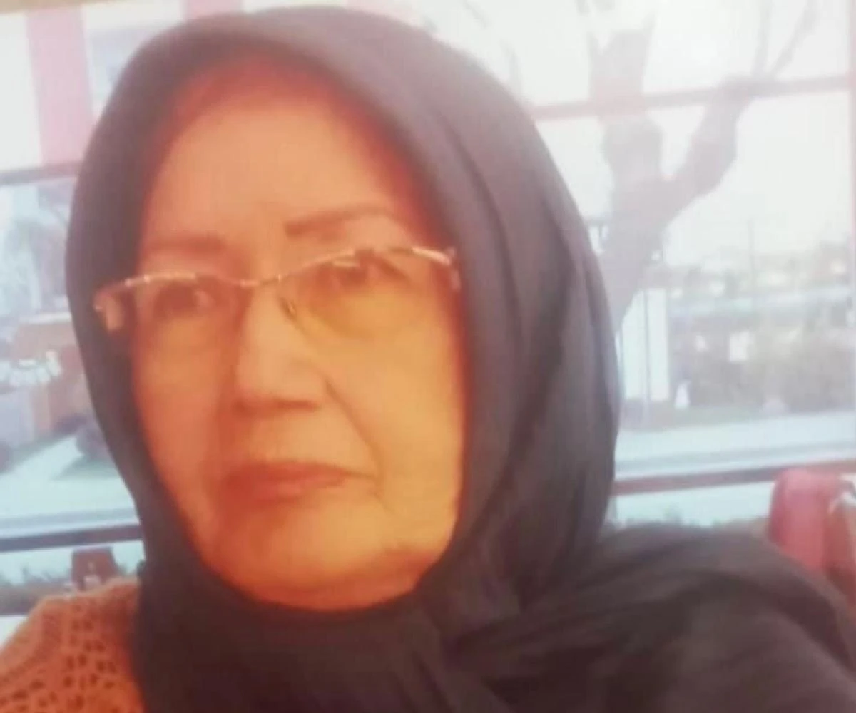 Kamyonetin çarptığı 73 yaşındaki kadın hayatını kaybetti