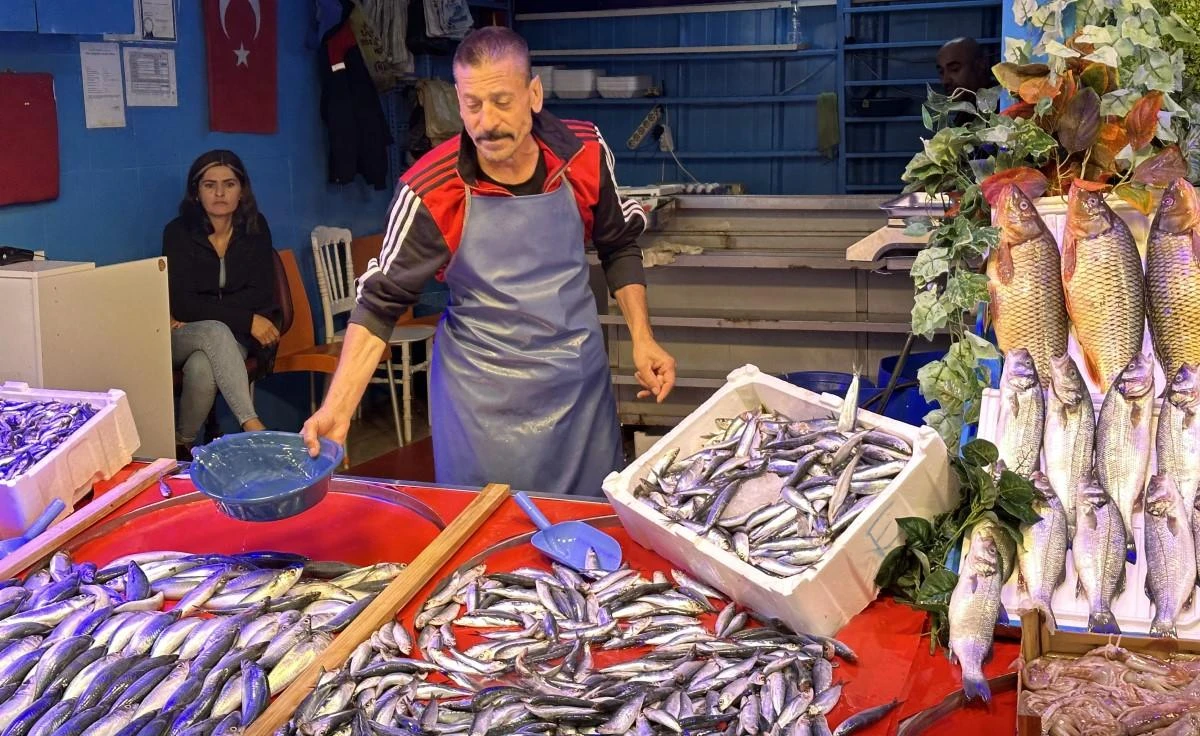 Balık sezonu açıldı tezgahlar renklenmeye başladı