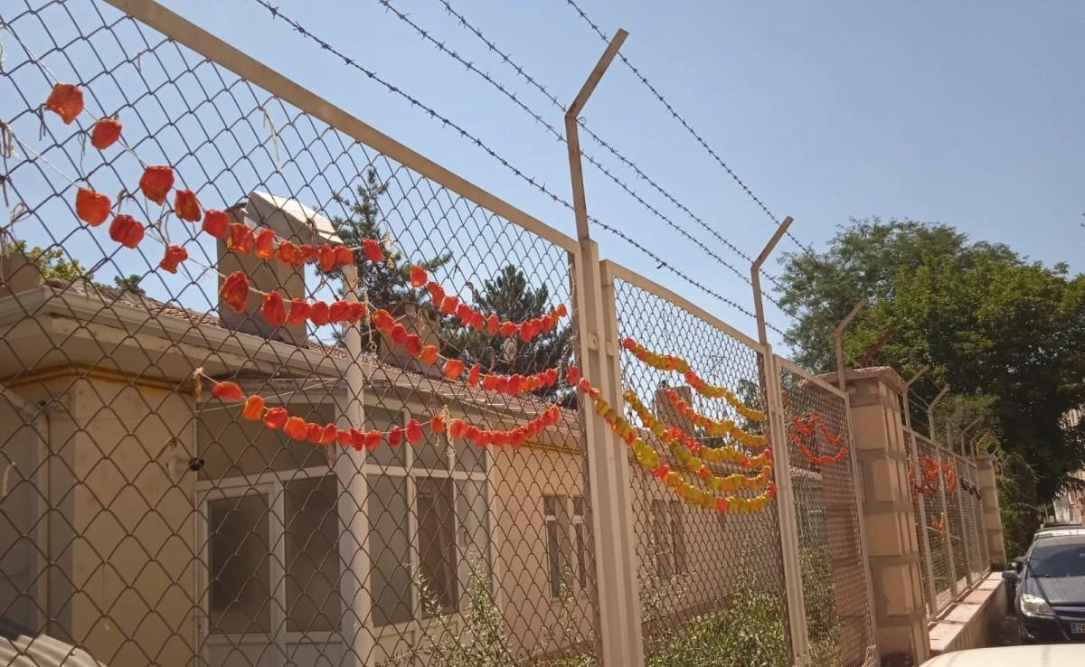 Kurutulmak için asılan biberlerin renkli görüntüsü