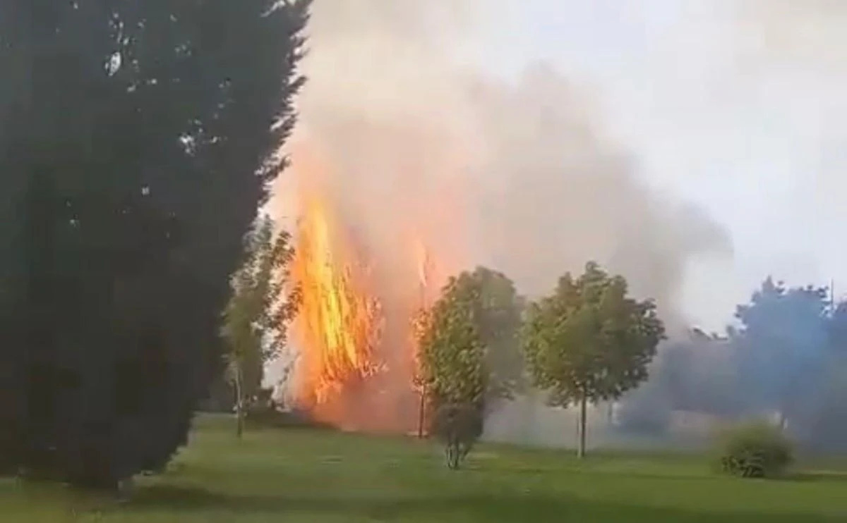 Parkta çıkan yangın itfaiye ekiplerince söndürüldü 