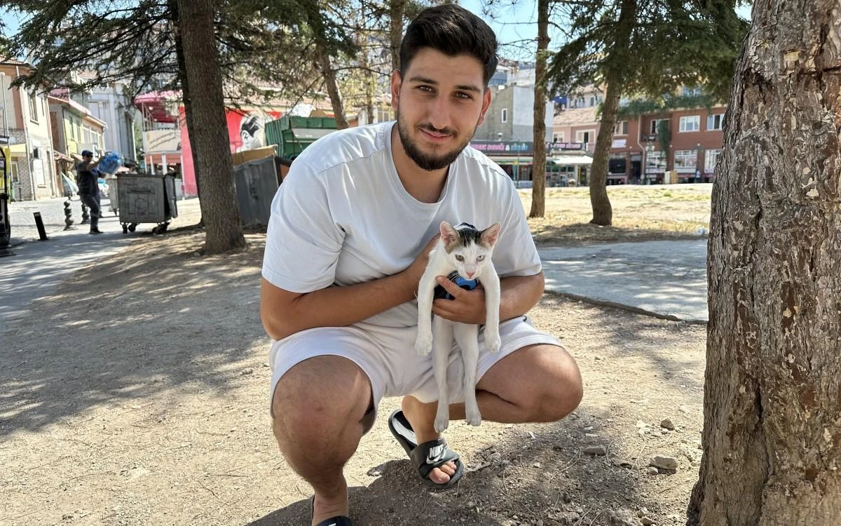 Tasmasıyla dolaşan kedi şehrin her yerini geziyor 