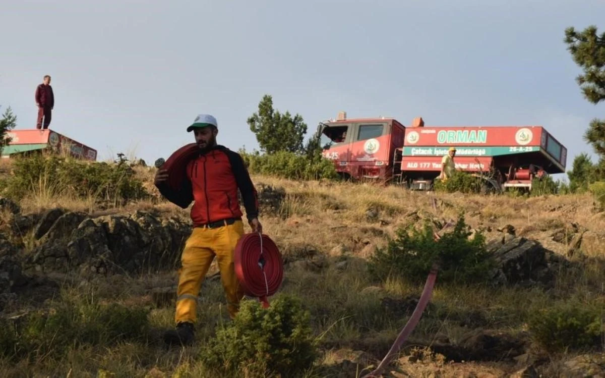 Eskişehir’de çıkan orman yangını kontrol altına alındı