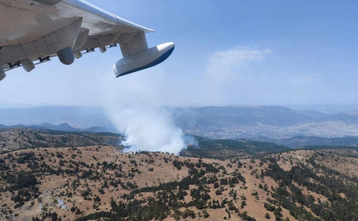 Eskişehir’de orman yangını