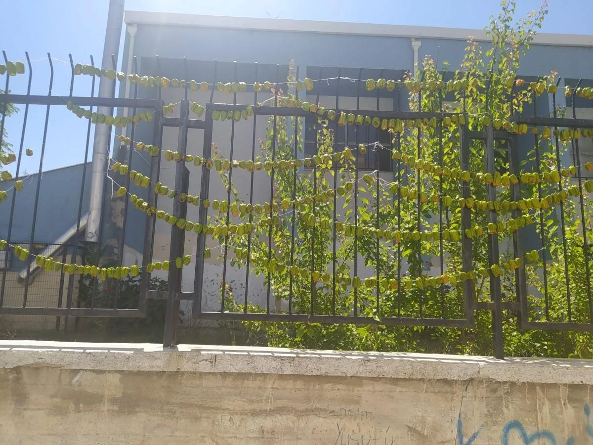 Eskişehir'de hava sıcakları sebze kurutma sezonunu başlattı