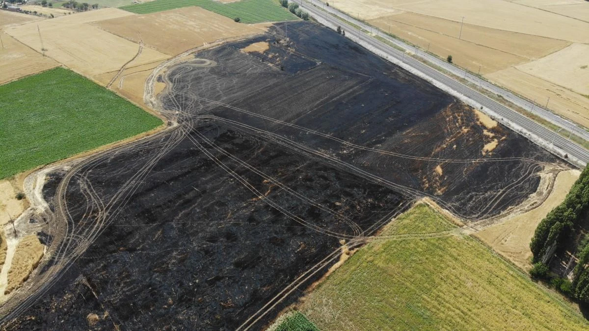 Havada güvercin kovalayan atmaca bakın neye sebep oldu