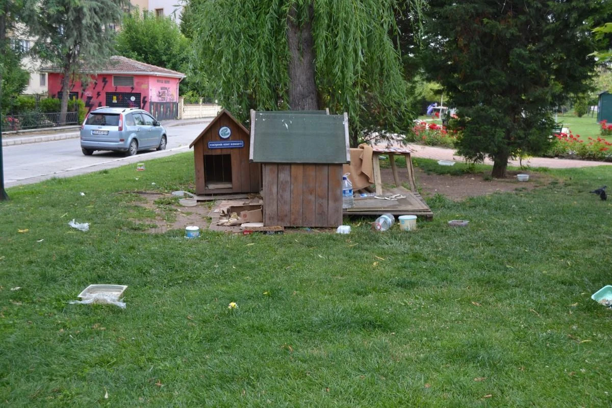 Böyle köpek besleme olur mu