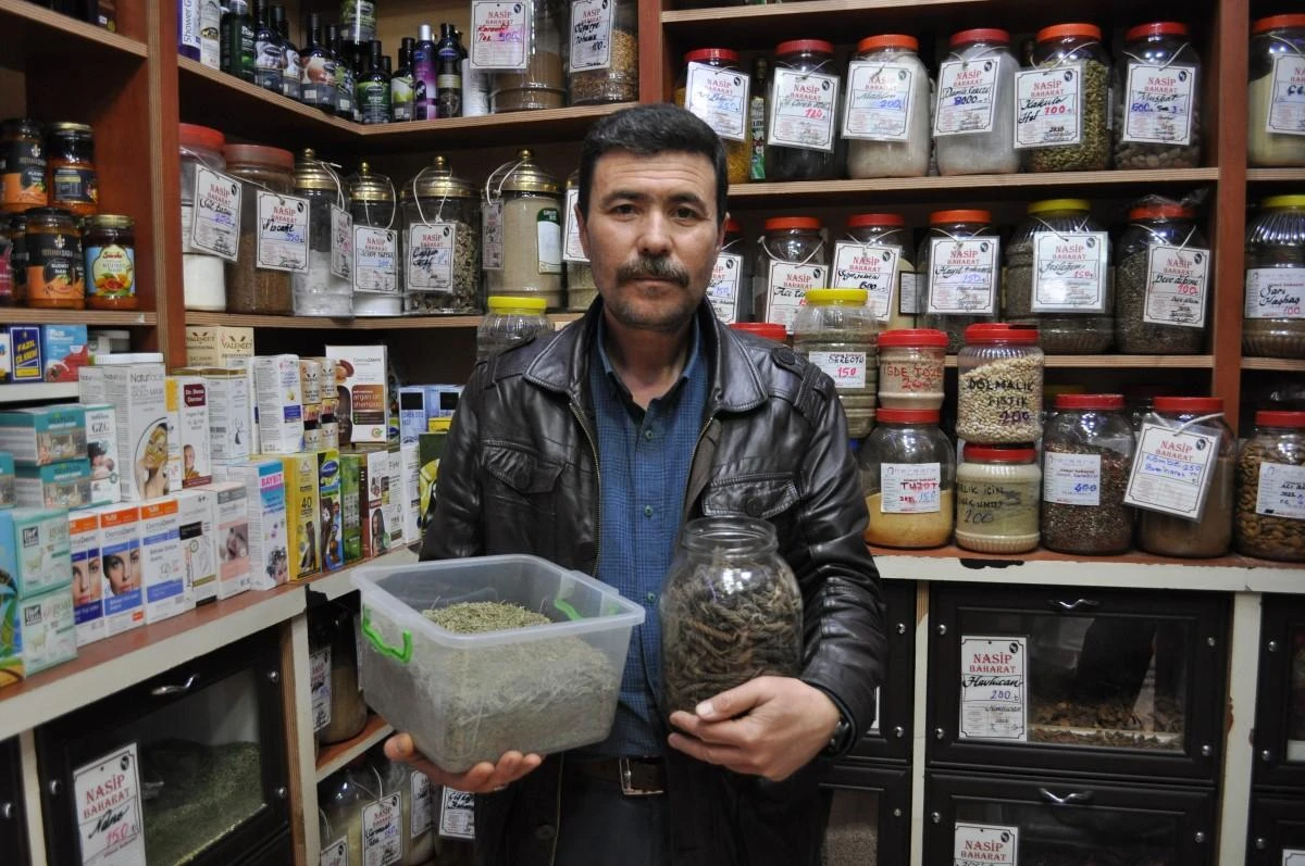 Sınavlara girecek öğrencilerin hafızalarını güçlendirecek şifalı bitkiler