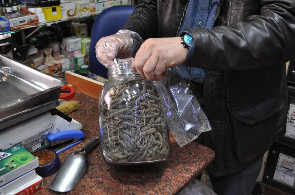 Sınavlara girecek öğrencilerin hafızalarını güçlendirecek şifalı bitkiler