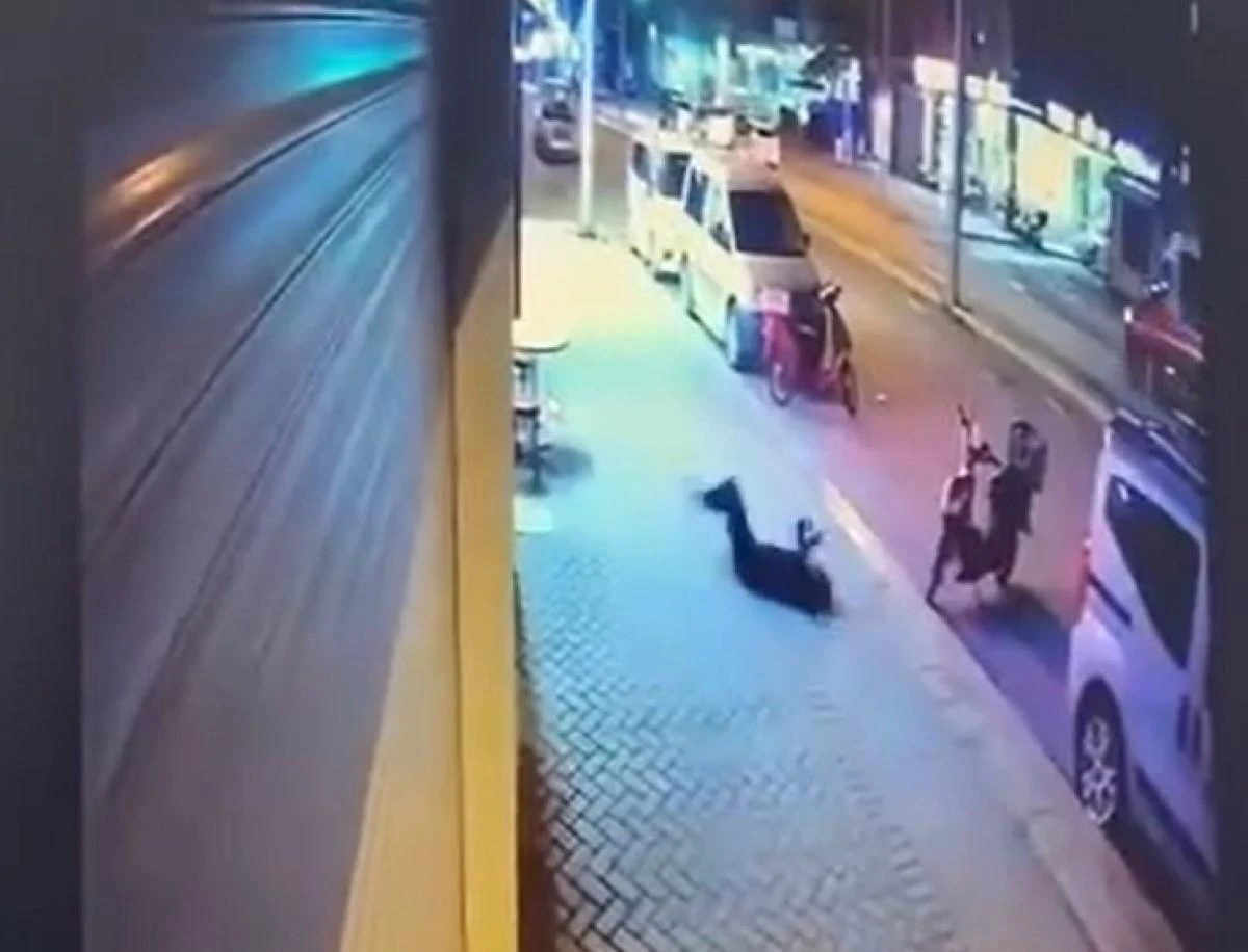 Camdan düşerek ölen kadının sevgiline ağırlaştırılmış müebbet hapis talebi